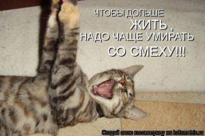 что значит выражение умирать со смеху