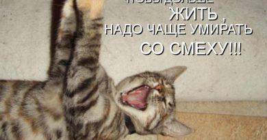 что значит выражение умирать со смеху. Смотреть фото что значит выражение умирать со смеху. Смотреть картинку что значит выражение умирать со смеху. Картинка про что значит выражение умирать со смеху. Фото что значит выражение умирать со смеху